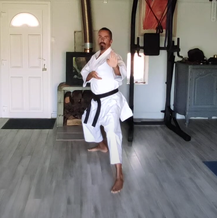 Karate en ligne fabien verrier